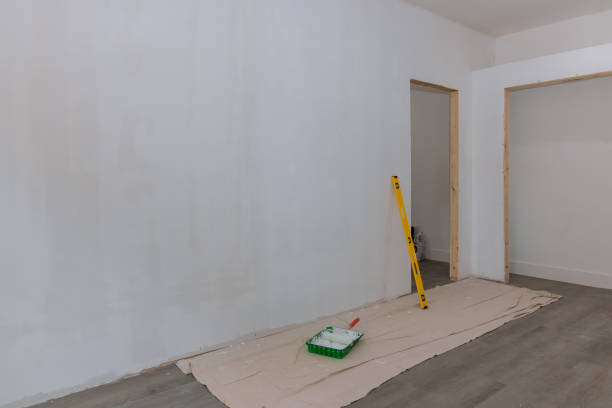 Best Asbestos and Lead Testing During Mold Inspection  in Sykesville, MD