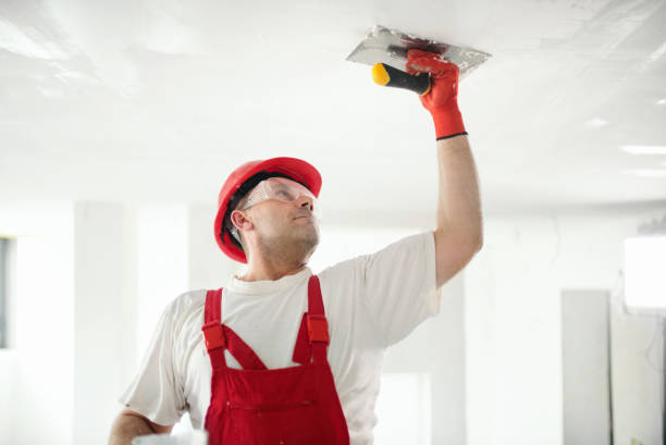 Best Forensic Mold Investigation  in Sykesville, MD